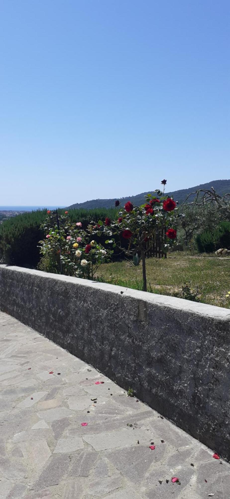 Bellavista Prile Bed and Breakfast Castiglione della Pescaia Rum bild
